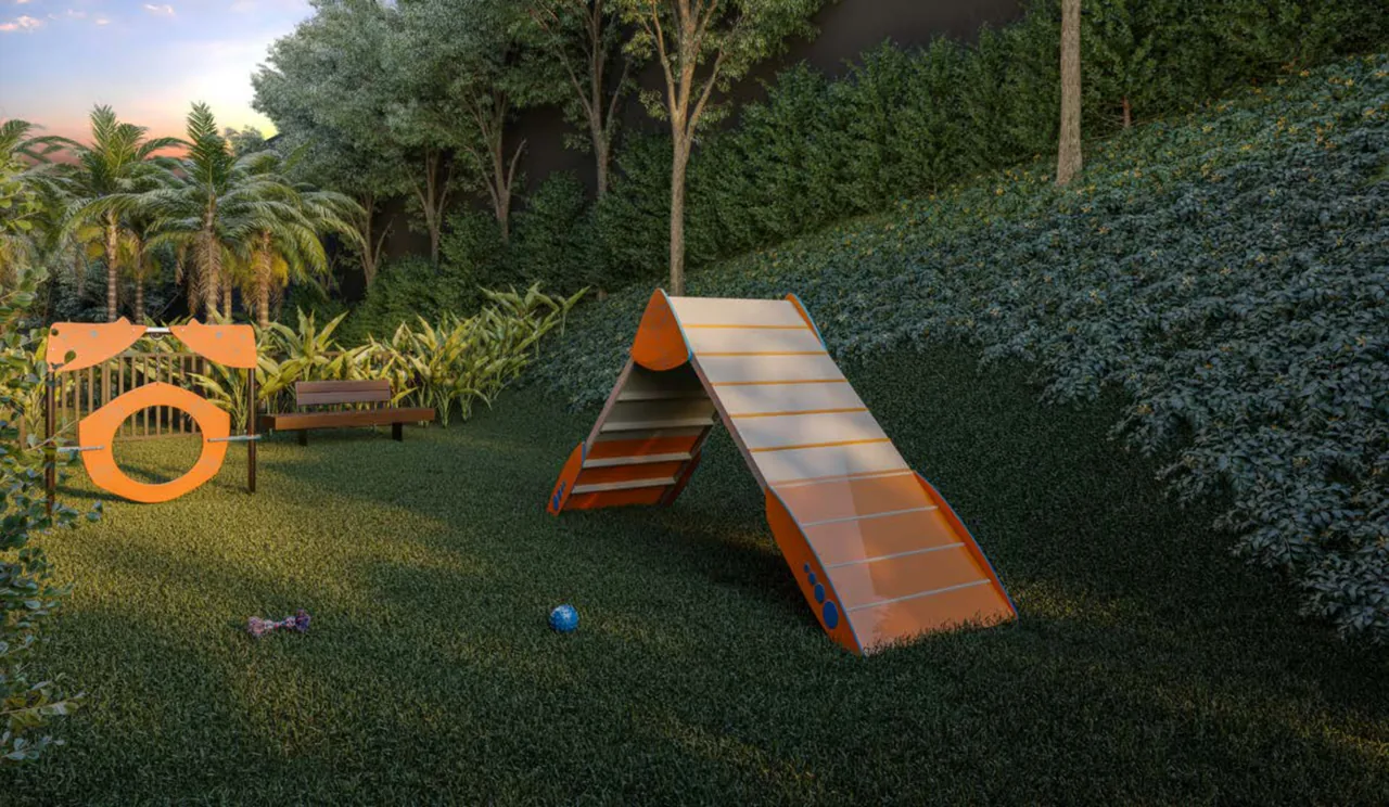 Fase 2: pet place